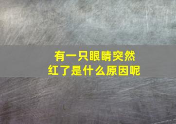 有一只眼睛突然红了是什么原因呢