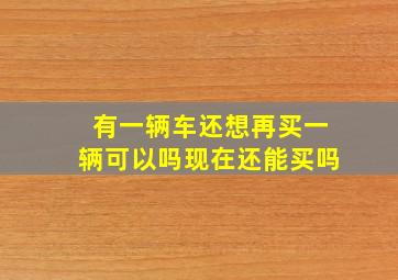 有一辆车还想再买一辆可以吗现在还能买吗