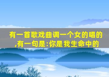 有一首歌戏曲调一个女的唱的,有一句是:你是我生命中的