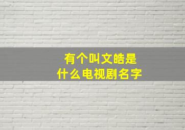 有个叫文皓是什么电视剧名字