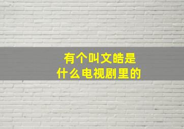 有个叫文皓是什么电视剧里的