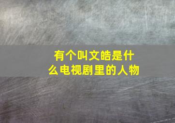 有个叫文皓是什么电视剧里的人物