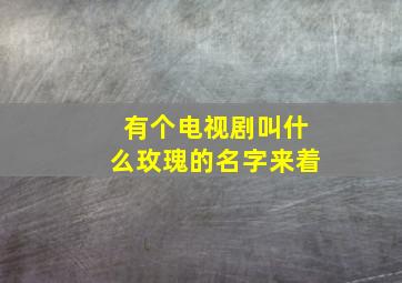 有个电视剧叫什么玫瑰的名字来着