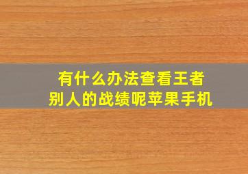 有什么办法查看王者别人的战绩呢苹果手机