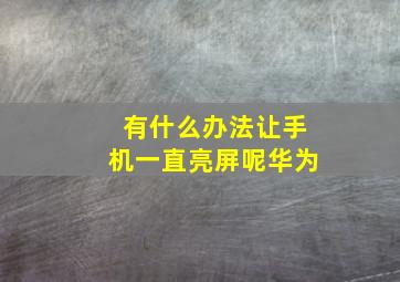 有什么办法让手机一直亮屏呢华为