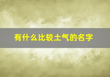 有什么比较土气的名字