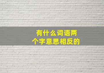 有什么词语两个字意思相反的