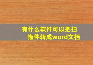 有什么软件可以把扫描件转成word文档