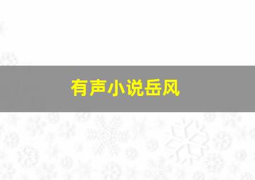 有声小说岳风