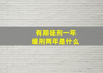 有期徒刑一年缓刑两年是什么