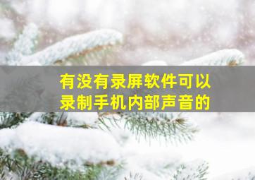 有没有录屏软件可以录制手机内部声音的