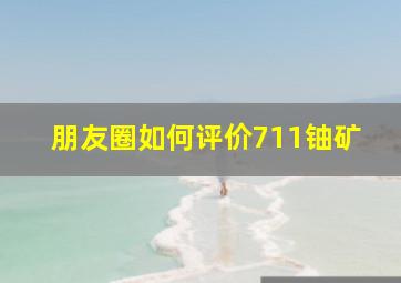 朋友圈如何评价711铀矿