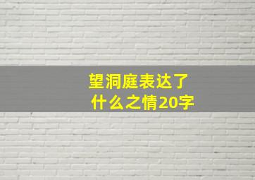 望洞庭表达了什么之情20字