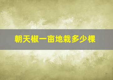 朝天椒一亩地栽多少棵