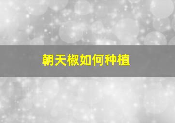 朝天椒如何种植