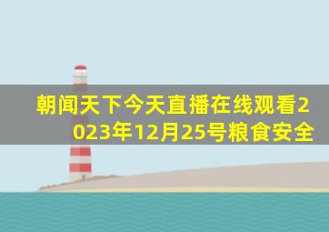 朝闻天下今天直播在线观看2023年12月25号粮食安全