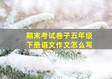 期末考试卷子五年级下册语文作文怎么写