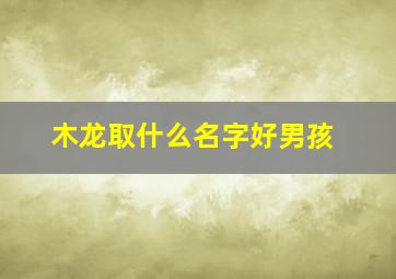 木龙取什么名字好男孩