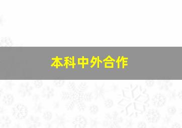 本科中外合作