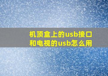 机顶盒上的usb接口和电视的usb怎么用