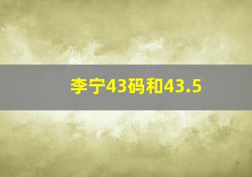 李宁43码和43.5