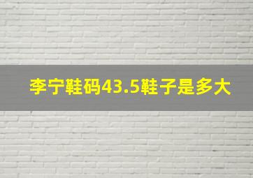 李宁鞋码43.5鞋子是多大