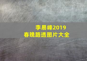 李易峰2019春晚路透图片大全