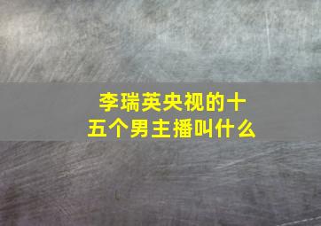 李瑞英央视的十五个男主播叫什么