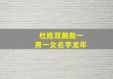 杜姓双胞胎一男一女名字龙年