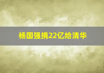 杨国强捐22亿给清华