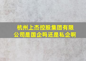 杭州上杰控股集团有限公司是国企吗还是私企啊