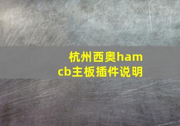 杭州西奥hamcb主板插件说明