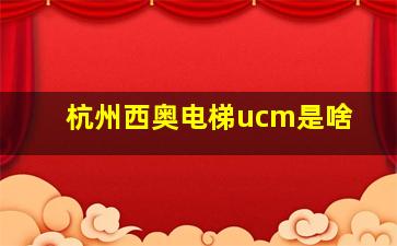 杭州西奥电梯ucm是啥