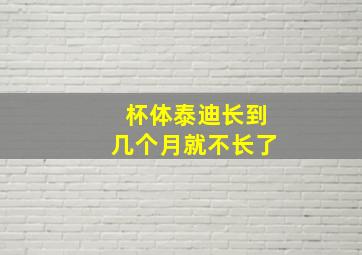 杯体泰迪长到几个月就不长了