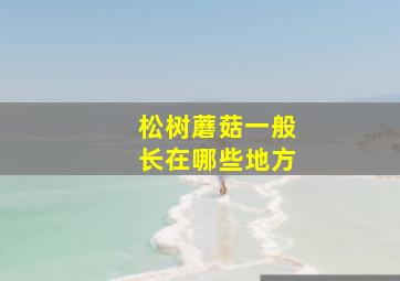 松树蘑菇一般长在哪些地方