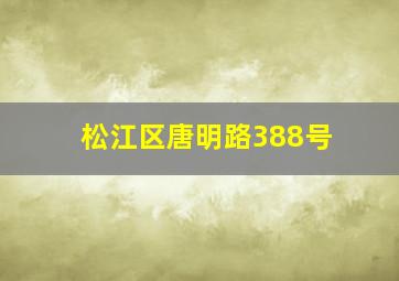 松江区唐明路388号