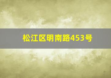 松江区明南路453号