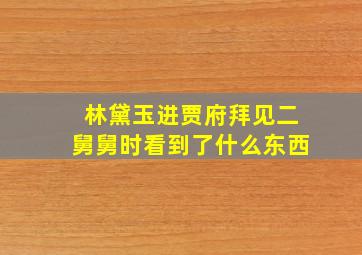 林黛玉进贾府拜见二舅舅时看到了什么东西