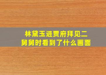 林黛玉进贾府拜见二舅舅时看到了什么画面