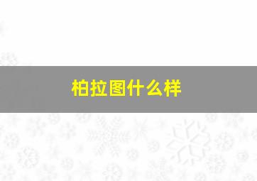 柏拉图什么样