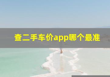 查二手车价app哪个最准