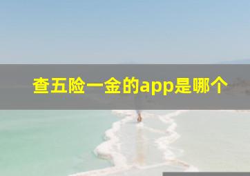 查五险一金的app是哪个