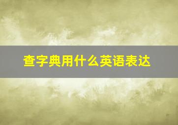 查字典用什么英语表达