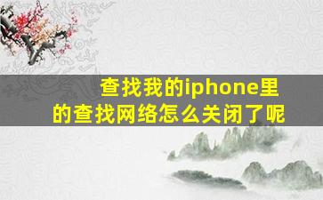 查找我的iphone里的查找网络怎么关闭了呢