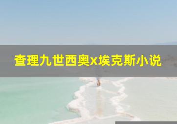 查理九世西奥x埃克斯小说