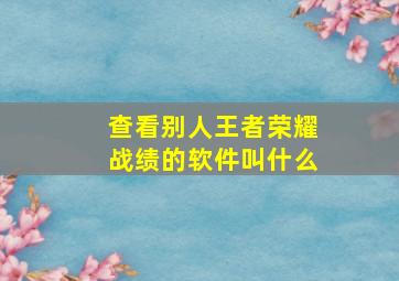 查看别人王者荣耀战绩的软件叫什么