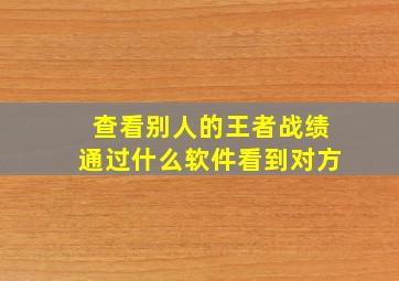 查看别人的王者战绩通过什么软件看到对方