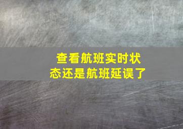 查看航班实时状态还是航班延误了