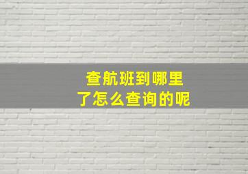 查航班到哪里了怎么查询的呢