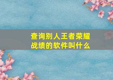 查询别人王者荣耀战绩的软件叫什么